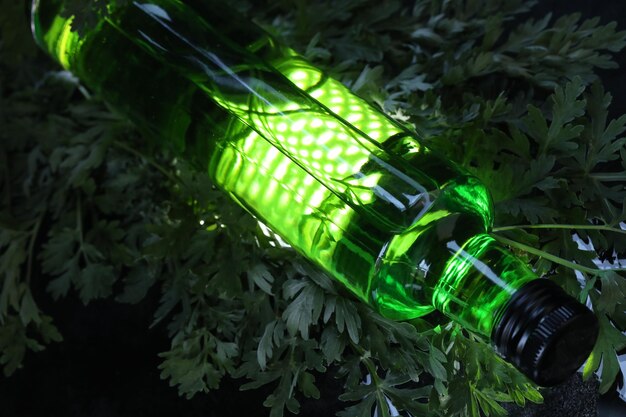 bottiglia di bevanda di assenzio verde sullo sfondo nero con le erbe