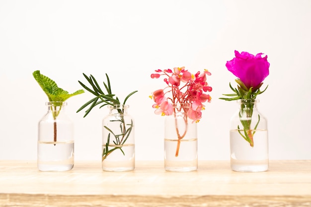 Bottiglia di olio essenziale con piante di erbe e fiori