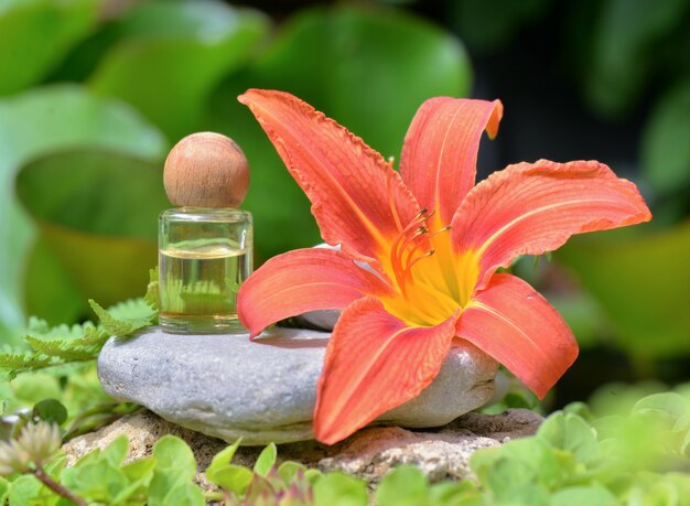 Bottiglia di olio essenziale con tappo in legno su una pietra accanto a un grande fiore arancione di lys