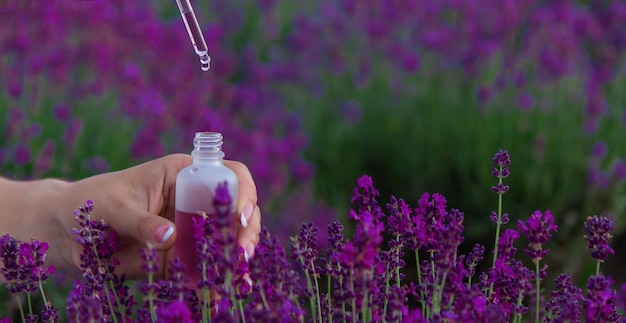 Bottiglia di olio essenziale di lavanda su tavola di legno e sfondo di campo di fiori