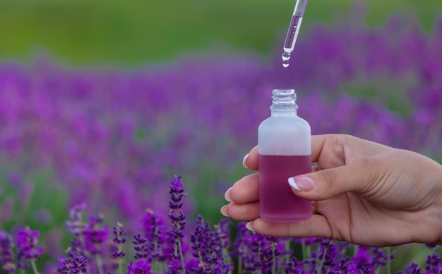 Bottiglia di olio essenziale di lavanda su tavola di legno e sfondo di campo di fiori