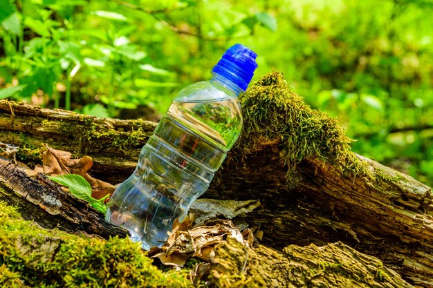 Bottiglia di plastica con l'acqua limpida sul tronco d'albero nella foresta