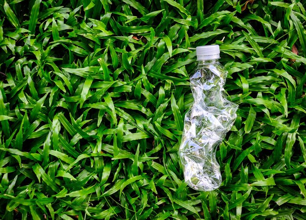 bottiglia di plastica vuota su erba verde