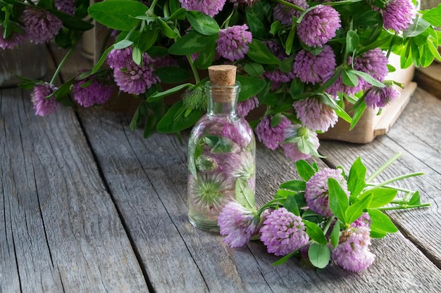 Bottiglia di tintura o infusione di trifoglio e mazzo di fiori di trifoglio in cassa di legno