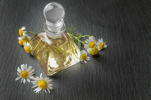 Bottiglia di vetro con olio essenziale e fiori di camomilla freschi su sfondo scuro