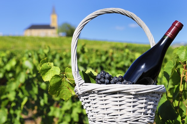 Bottiglia di vino rosso in campagna