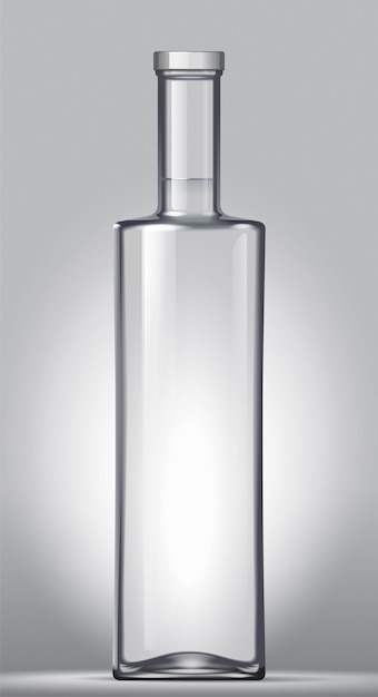Bottiglia di vodka e shot con ghiaccio.