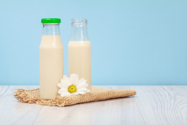 Bottiglie di latte fresco con fiori di camomilla su tela di sacco e sfondo blu.