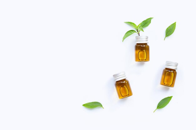Bottiglie di olio essenziale con foglie di basilico dolce fresco