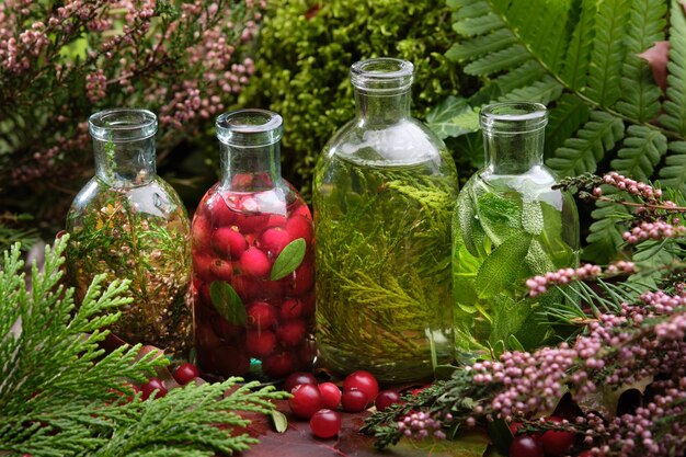 Bottiglie di olio essenziale e infuso di erbe e bacche Erbe medicinali e piante curative
