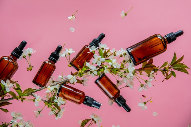 Bottiglie di profumo e fiori di ramo di ciliegio intorno sulla superficie rosa