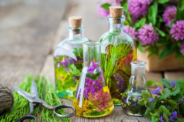 Bottiglie di tintura o infusione di erbe curative forbici erbe medicinali su tavola di legno Concetto di erboristeria