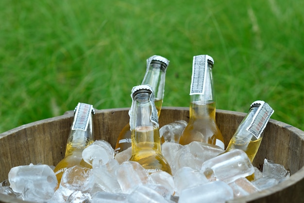 Bottiglie fredde di birra in secchio di legno con ghiaccio