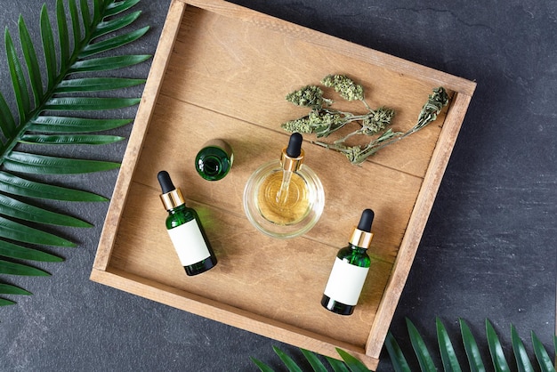 Bottiglie verdi di olio di CBD medico con semi di cannabis e foglie essiccate Concetto di medicina alternativa