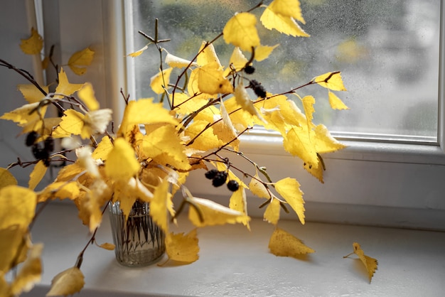 Bouquet autunnale di rami di betulla con foglie gialle
