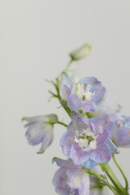 bouquet bellissimo fiore