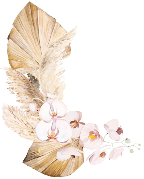 Bouquet boemo dell'acquerello con fiori tropicali e di cotone, foglie di palma essiccate e illustrazione di erba di pampa con spazio di copia isolato. Disposizione beige per la progettazione di matrimoni, biglietti di auguri, artigianato