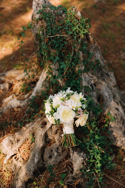 Bouquet da sposa di rose bianche fresia rami di bosso e nastri bianchi vicino al ceppo di edera