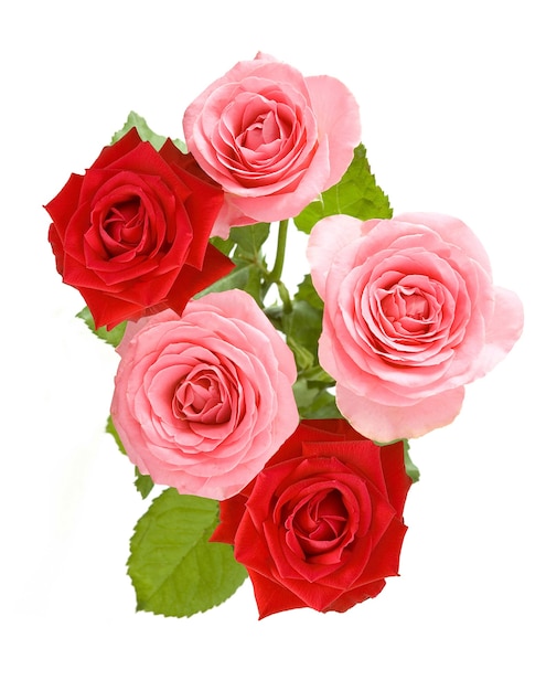 Bouquet di bellissime rose isolato su sfondo bianco