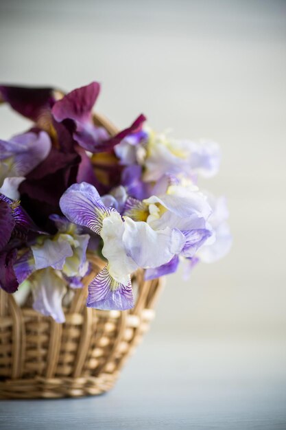 Bouquet di bellissimi fiori di iris in fiore su uno sfondo di legno