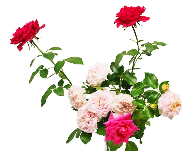 Bouquet di bellissimi fiori di rose isolati su sfondo bianco. Carta di matrimonio. Saluto. Estate. Primavera. Disposizione piana, vista dall'alto. Rosso, rosa. Pasqua