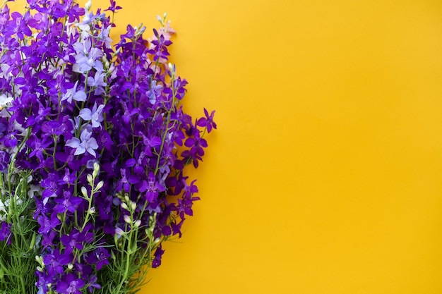 Bouquet di bellissimi fiori viola su sfondo giallo