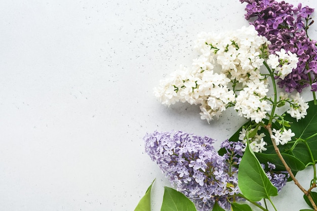 Bouquet di bellissimi lilla bianchi e viola su sfondo grigio. Vista dall'alto. Biglietto di auguri festivo con peonia per matrimoni, felice festa della donna San Valentino e festa della mamma.