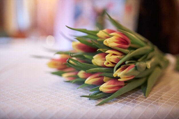 Bouquet di bellissimi tulipani Bouquet di fiori delicati