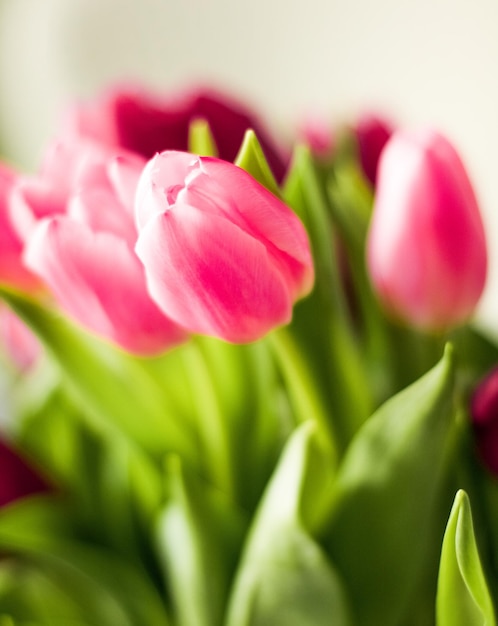 Bouquet di bellissimi tulipani sfondo floreale