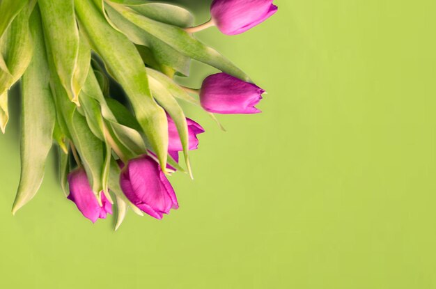 Bouquet di bellissimi tulipani su uno sfondo di legno Tulipani su vecchie tavole