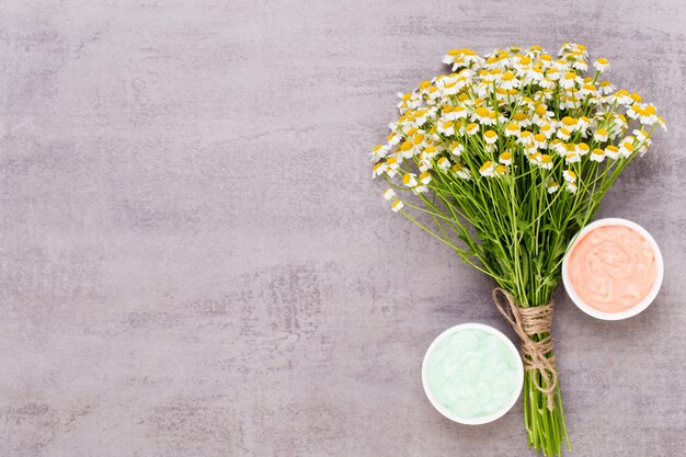 Bouquet di camomilla su grigio