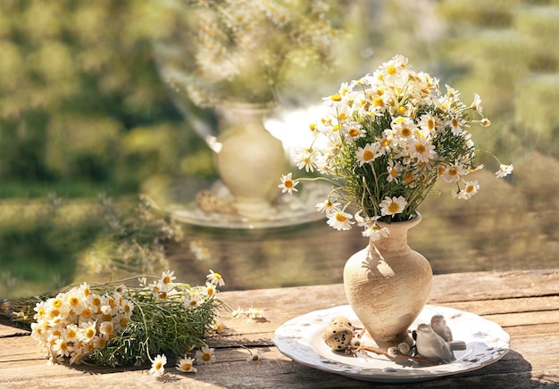 Bouquet di camomilla sul davanzale