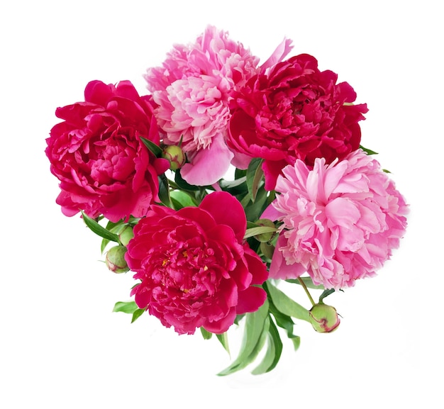 bouquet di cinque fiori di peonia