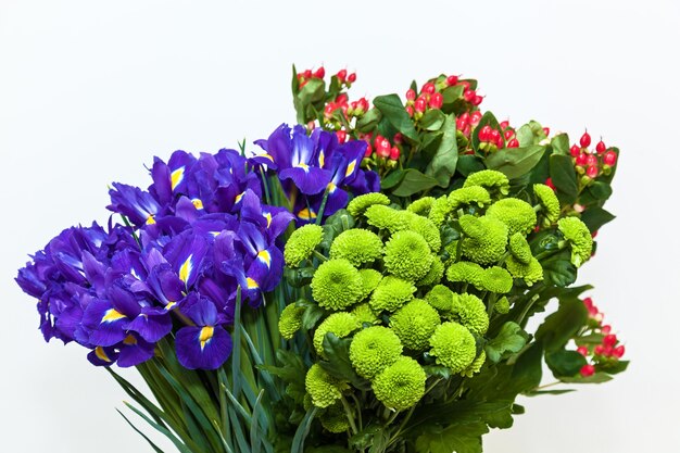 Bouquet di crisantemi e iris su sfondo bianco. bouquet floreale colorato sfondo bianco