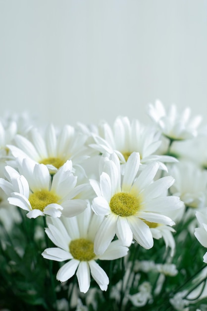 bouquet di crisantemo bianco sul pavimento di legno bianco