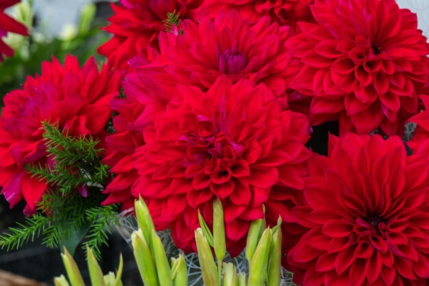 Bouquet di dalie rosse al mercato di strada Fiori