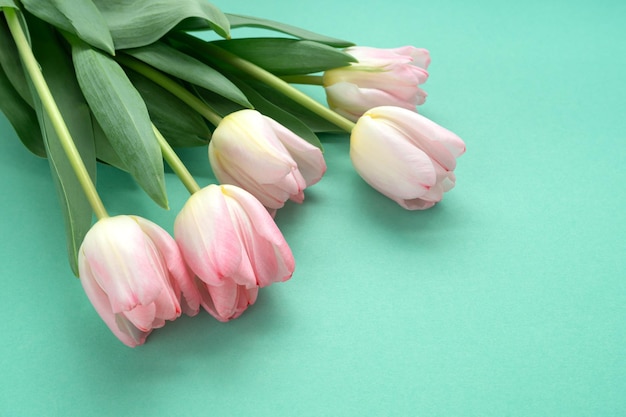 Bouquet di delicati tulipani rosa su sfondo verde Tempo di primavera Copia spazio