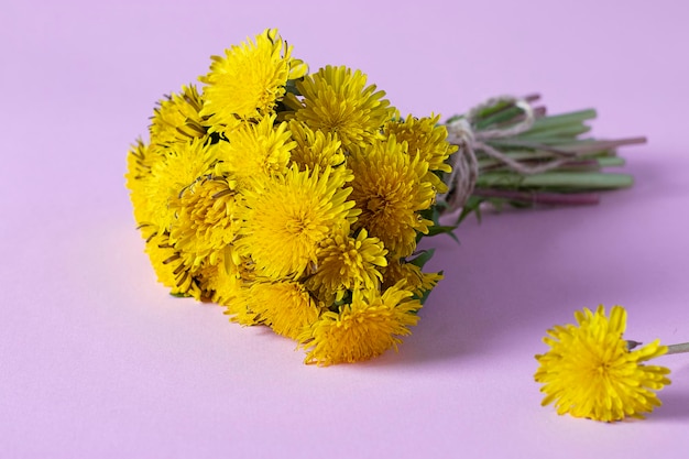 Bouquet di denti di leone giallo brillante su uno sfondo rosa da vicino in formato orizzontale