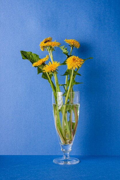 Bouquet di denti di leone in un bicchiere su sfondo blu