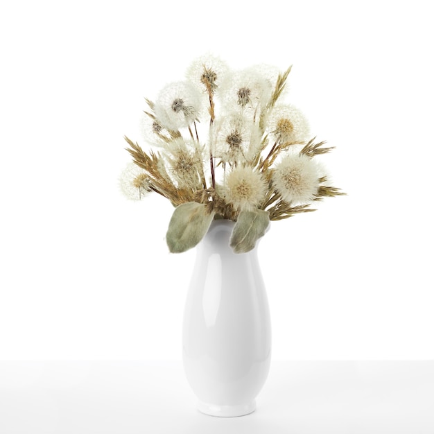 Bouquet di denti di leone secchi si trova in un vaso bianco su bianco