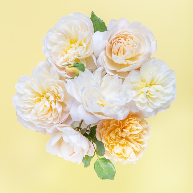 Bouquet di dolci rose pastello su sfondo giallo