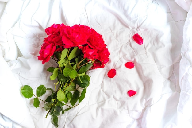 Bouquet di fiori colorati da rose rosse isolati su sfondo bianco Primo piano