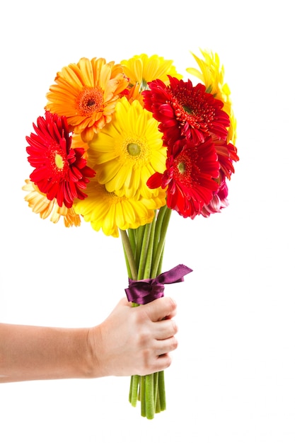 bouquet di fiori colorati gerbera