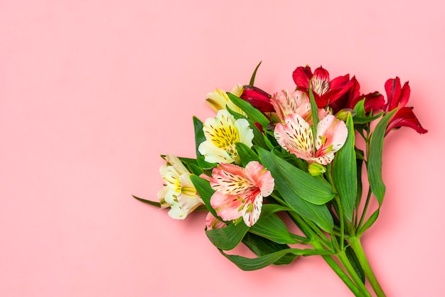 Bouquet di fiori di alstroemeria isolati in rosa