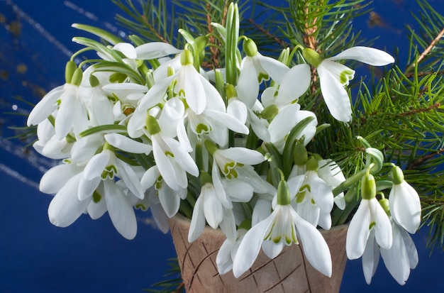 Bouquet di fiori di bucaneve vacanze di primavera in vaso di argilla