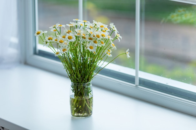 Bouquet di fiori di camomilla sul davanzale della finestra