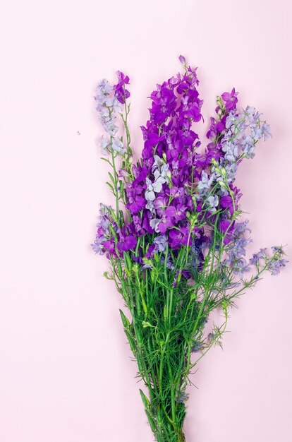 Bouquet di fiori di campo viola isolati