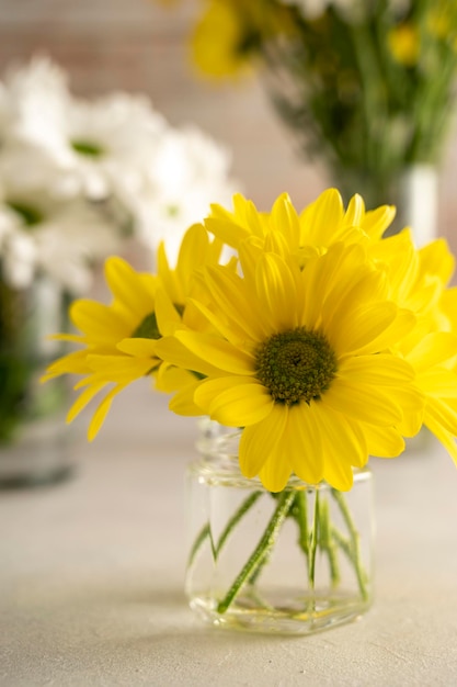 Bouquet di fiori di crisantemo giallo in vaso Composizione primaverile con fiori a margherita