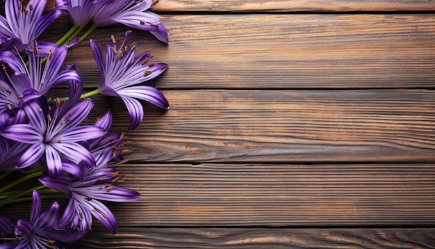 Bouquet di fiori di croco viola su fondo di legno marrone