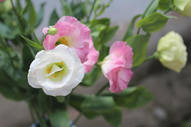 Bouquet di fiori di eustoma lisianthus composizione floreale